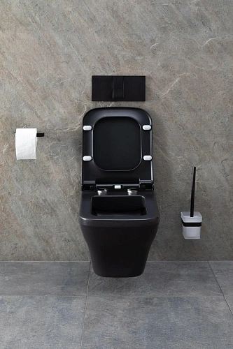 Унитаз подвесной Allen Brau Infinity 4.21011.31 с крышкой, черный матовый Унитаз подвесной Allen Brau Infinity 4.21011.31 с крышкой, черный матовый