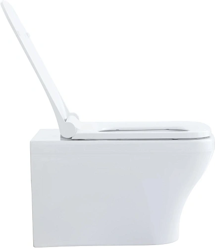 Комплект унитаза Allen Brau Infinity 4.21011.20/8.9466.0.000.000.1 (00316506) с инсталляцией, белый глянец Комплект унитаза Allen Brau Infinity 4.21011.20/8.9466.0.000.000.1 (00316506) с инсталляцией, белый глянец