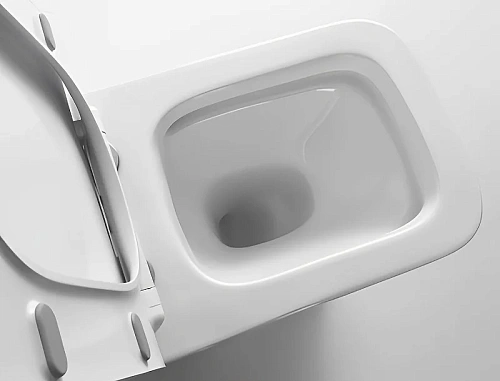 Унитаз подвесной Ceruttispa VETTORE Aria MW CT9242 безободковый белый матовый, сиденье микролифт Унитаз подвесной Ceruttispa VETTORE Aria MW CT9242 безободковый белый матовый, сиденье микролифт