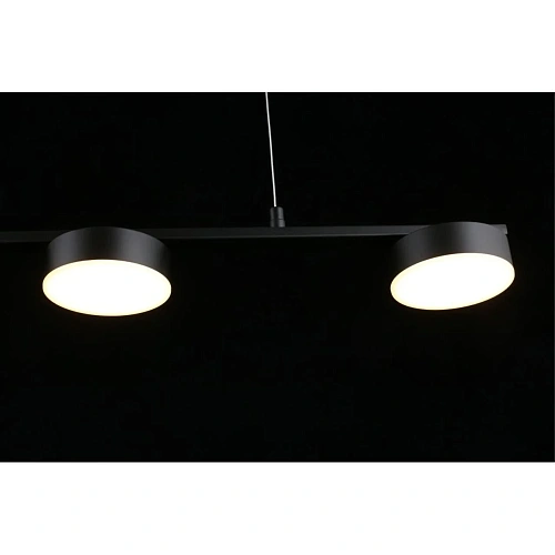 Люстра подвесная Aployt Usia APL.047.03.35 Люстра подвесная Aployt Usia APL.047.03.35