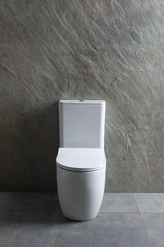 Чаша напольного унитаза Allen Brau Priority 4.31003.20 с крышкой, белый Чаша напольного унитаза Allen Brau Priority 4.31003.20 с крышкой, белый