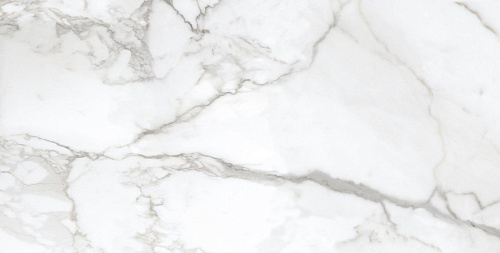 Керамогранит Neodom Ambassador Arabescato 60x120 CV20193 Керамогранит Neodom Ambassador Arabescato 60x120 CV20193