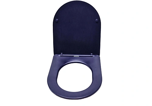 Крышка-сиденье Aquatek МИЯ AQ0204-MB черный матовый Крышка-сиденье Aquatek МИЯ AQ0204-MB черный матовый