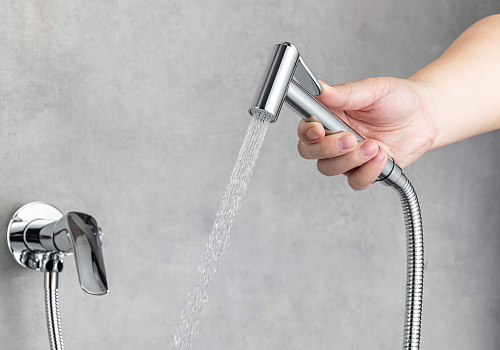 Гигиенический душ Aquatek ВЕГА AQ1019CR хром Гигиенический душ Aquatek ВЕГА AQ1019CR хром