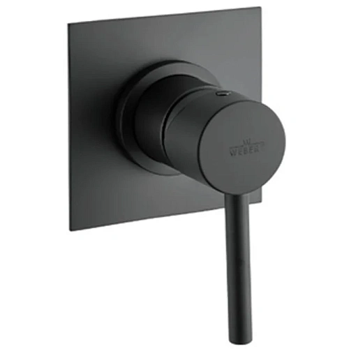 Смеситель для душа Webert Elio EL880101560 Смеситель для душа Webert Elio EL880101560