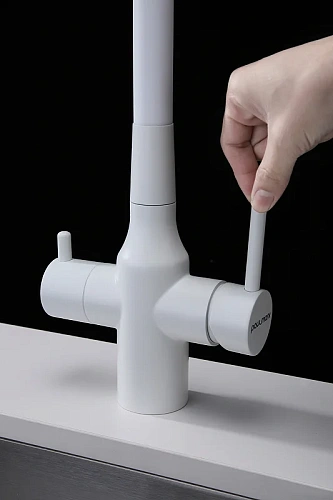 Смеситель для кухни Paulmark SALIX белый матовый Sa213419-WH Смеситель для кухни Paulmark SALIX белый матовый Sa213419-WH