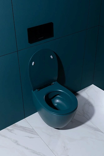 Унитаз подвесной Allen Brau Fantasy 4.11004.PT с крышкой, петроль Унитаз подвесной Allen Brau Fantasy 4.11004.PT с крышкой, петроль