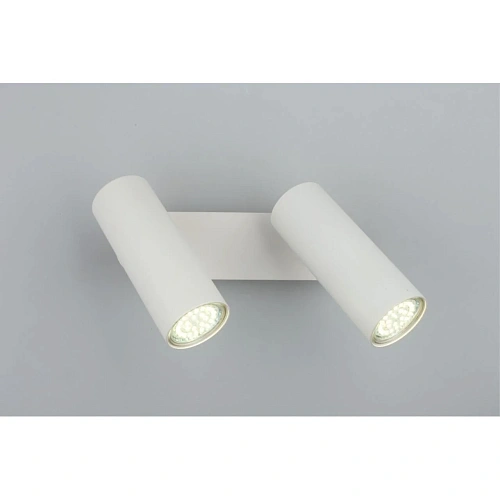 Светильник настенный (Бра) Aployt Rein APL.004.01.02 Светильник настенный (Бра) Aployt Rein APL.004.01.02