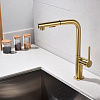 Смеситель для кухни Paulmark Neo брашированное золото Ne214419-BG Смеситель для кухни Paulmark Neo брашированное золото Ne214419-BG