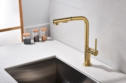 Смеситель для кухни Paulmark Neo брашированное золото Ne214419-BG Смеситель для кухни Paulmark Neo брашированное золото Ne214419-BG