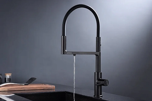 Смеситель для кухни Paulmark TORNADO антрацит To213402-AN Смеситель для кухни Paulmark TORNADO антрацит To213402-AN