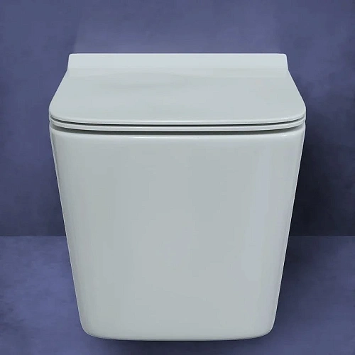 Комплект унитаза BERGES FLOE с инсталляцией NOVUM525, кнопкой L5 Soft Touch черной, сиденье дюроплас 043279 Комплект унитаза BERGES FLOE с инсталляцией NOVUM525, кнопкой L5 Soft Touch черной, сиденье дюроплас 043279