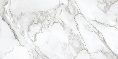 Керамогранит Neodom Ambassador Arabescato 60x120 CV20193 Керамогранит Neodom Ambassador Arabescato 60x120 CV20193