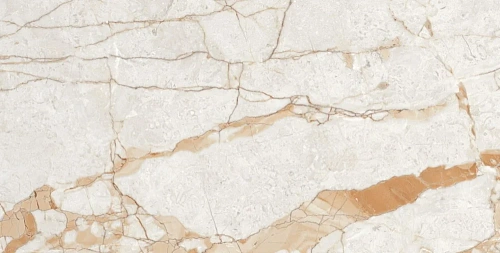 Керамогранит Neodom Ambassador Rosalia Glossy 60x120 CV20196 Керамогранит Neodom Ambassador Rosalia Glossy 60x120 CV20196