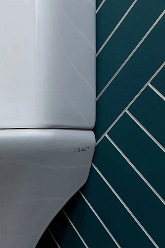 Чаша напольного унитаза Aquanet Rimless Roll 2-C CL-12289 с сиденьем Чаша напольного унитаза Aquanet Rimless Roll 2-C CL-12289 с сиденьем