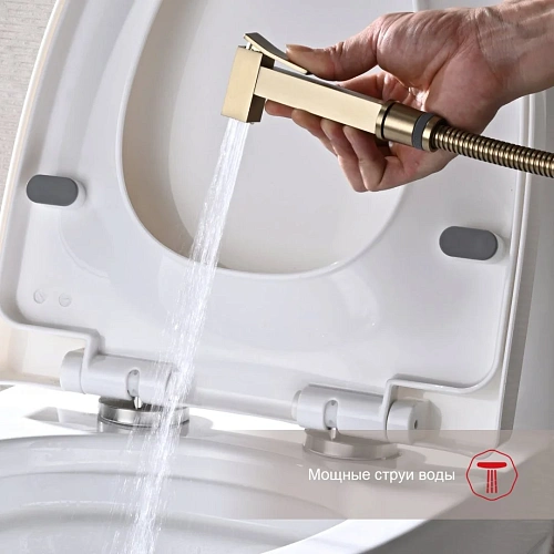 Гигиенический душ Raglo R01.52.03 встраиваемый, золотой сатин Гигиенический душ Raglo R01.52.03 встраиваемый, золотой сатин