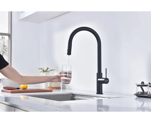 Смеситель для кухни Paulmark Galant антрацит Ga213077-AN Смеситель для кухни Paulmark Galant антрацит Ga213077-AN