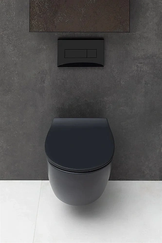 Унитаз подвесной Allen Brau Fantasy 4.11004.31 без сиденья Унитаз подвесной Allen Brau Fantasy 4.11004.31 без сиденья