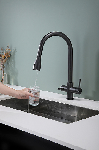 Смеситель для кухни Paulmark LANGE черный La214212-BLM Смеситель для кухни Paulmark LANGE черный La214212-BLM