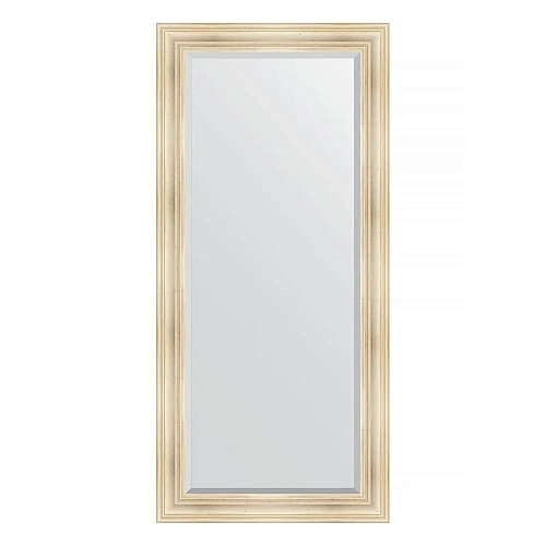 Зеркало в багетной раме Evoform Exclusive BY 3601 79 x 169 см, травленое серебро Зеркало в багетной раме Evoform Exclusive BY 3601 79 x 169 см, травленое серебро