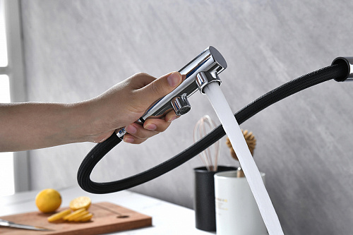 Смеситель для кухни Paulmark SERPENTINE хром Se213222-CR Смеситель для кухни Paulmark SERPENTINE хром Se213222-CR