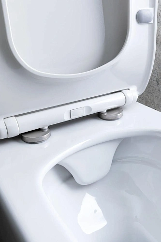 Унитаз подвесной Allen Brau Liberty 4.33007.20 с крышкой, белый Унитаз подвесной Allen Brau Liberty 4.33007.20 с крышкой, белый