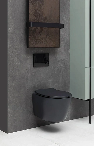 Унитаз подвесной Allen Brau Fantasy 4.11004.31 без сиденья Унитаз подвесной Allen Brau Fantasy 4.11004.31 без сиденья