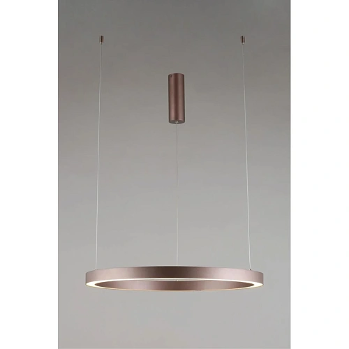 Люстра подвесная Aployt Nisia APL.025.03.48 Люстра подвесная Aployt Nisia APL.025.03.48