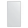 Зеркало в багетной раме Evoform Definite BY 1079 56 x 106 см, сталь