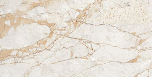 Керамогранит Neodom Ambassador Rosalia Glossy 60x120 CV20196 Керамогранит Neodom Ambassador Rosalia Glossy 60x120 CV20196