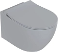 Унитаз подвесной Allen Brau Fantasy 3 Vortex 4.11035.SG сиденье с микролифт серый матовый Унитаз подвесной Allen Brau Fantasy 3 Vortex 4.11035.SG сиденье с микролифт серый матовый