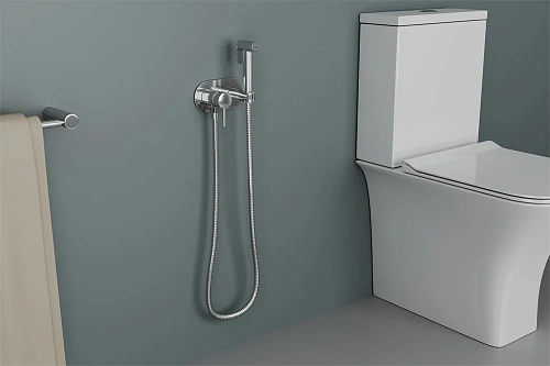 Гигиенический душ RUSH Capri (CA1435-96) Гигиенический душ RUSH Capri (CA1435-96)