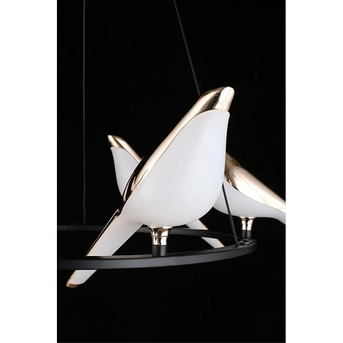 Люстра подвесная Aployt Astor APL.822.03.60 Люстра подвесная Aployt Astor APL.822.03.60