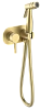 Гигиенический душ Raglo R20.52.03 встраиваемый, золотой сатин