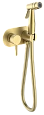 Гигиенический душ Raglo R20.52.03 встраиваемый, золотой сатин Гигиенический душ Raglo R20.52.03 встраиваемый, золотой сатин