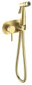 Гигиенический душ Raglo R20.52.03 встраиваемый, золотой сатин Гигиенический душ Raglo R20.52.03 встраиваемый, золотой сатин