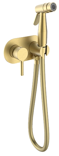 Гигиенический душ Raglo R20.52.03 встраиваемый, золотой сатин Гигиенический душ Raglo R20.52.03 встраиваемый, золотой сатин