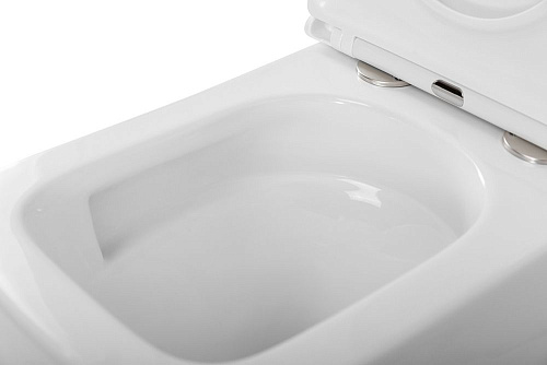 Унитаз напольный BelBagno LUCE-TOR BB2197CP-TOR/SC/BB2197T безободковый с сиденьем Унитаз напольный BelBagno LUCE-TOR BB2197CP-TOR/SC/BB2197T безободковый с сиденьем