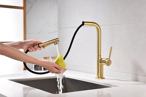 Смеситель для кухни Paulmark Neo брашированное золото Ne214419-BG Смеситель для кухни Paulmark Neo брашированное золото Ne214419-BG