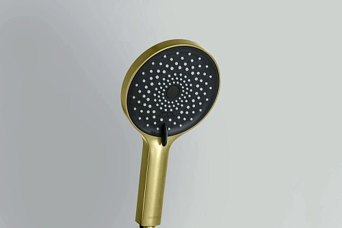 Душевая лейка Aquatek Лугано AQ2201BG золото шлифованное Душевая лейка Aquatek Лугано AQ2201BG золото шлифованное