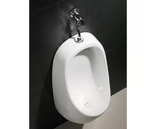 Писсуар CeramaLux X541S белый Писсуар CeramaLux X541S белый