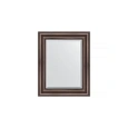 Зеркало в багетной раме Evoform Exclusive BY 1356 41 x 51 см, палисандр Зеркало в багетной раме Evoform Exclusive BY 1356 41 x 51 см, палисандр