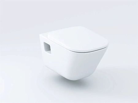 Крышка-сиденье Roca The Gap 801472001 Soft close петли хром Крышка-сиденье Roca The Gap 801472001 Soft close петли хром