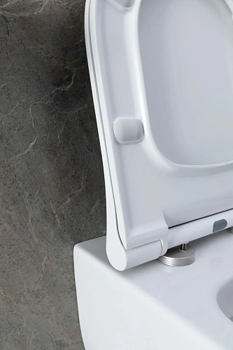 Комплект унитаза Allen Brau Priority 00301296/8.9466.0.000.000.1 (00316508) с инсталляцией, белый глянец Комплект унитаза Allen Brau Priority 00301296/8.9466.0.000.000.1 (00316508) с инсталляцией, белый глянец