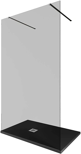 Душевая перегородка Allen Brau Infinity 2 120 3.21044.BA.T серебро брашированное Душевая перегородка Allen Brau Infinity 2 120 3.21044.BA.T серебро брашированное