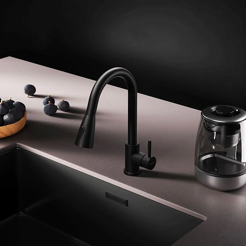 Смеситель для кухни AM.PM X-Joy S F85B07522 с вытягивающимся изливом, черный Смеситель для кухни AM.PM X-Joy S F85B07522 с вытягивающимся изливом, черный