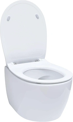 Комплект унитаза Allen Brau Fantasy 4.11004.20/8.9466.0.000.000.1 (00316504) с инсталляцией, белый глянец Комплект унитаза Allen Brau Fantasy 4.11004.20/8.9466.0.000.000.1 (00316504) с инсталляцией, белый глянец