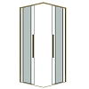 Душевая дверь GROSSMAN 1/2.К33.01.11.32.00 Galaxy (110x195) золото сатин, стекло прозрачное Душевая дверь GROSSMAN 1/2.К33.01.11.32.00 Galaxy (110x195) золото сатин, стекло прозрачное