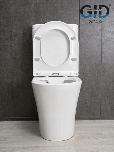 Унитаз напольный Gid Tn2124 62244Y белый 60.5x36x82.5 с крышкой микролифт Унитаз напольный Gid Tn2124 62244Y белый 60.5x36x82.5 с крышкой микролифт