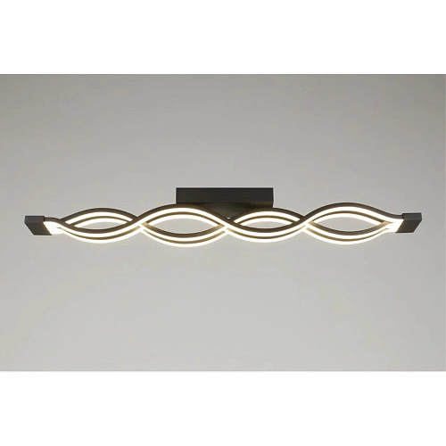 Светильник настенно-потолочный Aployt Nadayn APL.002.17.72 Светильник настенно-потолочный Aployt Nadayn APL.002.17.72